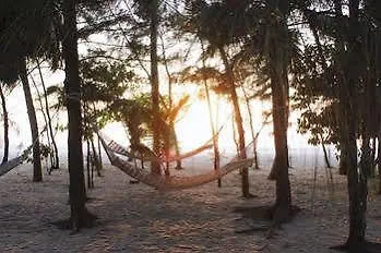 **** Resort Tree Of Life Marari Sands Beach Resort, Marari - Kerala Alappuzha India
